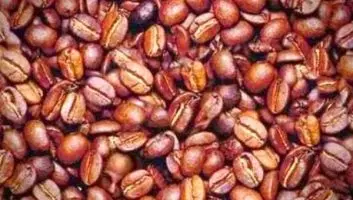 تست مشهورترین <a href=