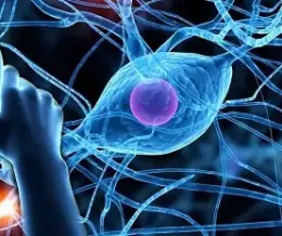 نشانه های بیماری ضعف اعصاب