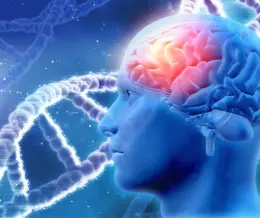 اختلالات تکوین عصبی