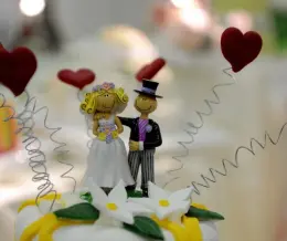 ازدواج با فرد دچار اختلالا اسکیزوفرنی