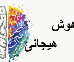 تست هوش هیجانی (تست EQ)