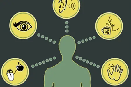 تفاوت تیپ شخصیتی حسی با شهودی