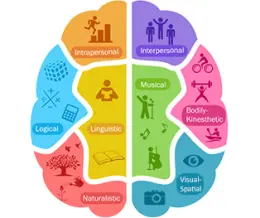 انواع هوش های چندگانه گاردنر