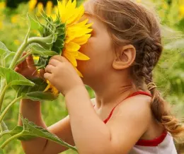 هوش طبیعت گرا