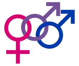 دو جنسگرا یا بایسکشوال چیست؟