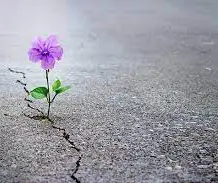 راههای امیدوار بودن