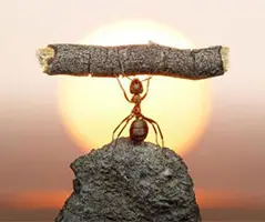 راهکار های بالا بردن اعتماد به نفس