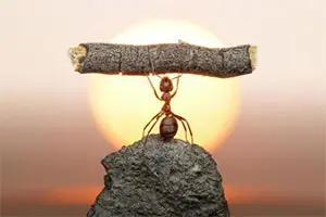 راهکار های بالا بردن اعتماد به نفس