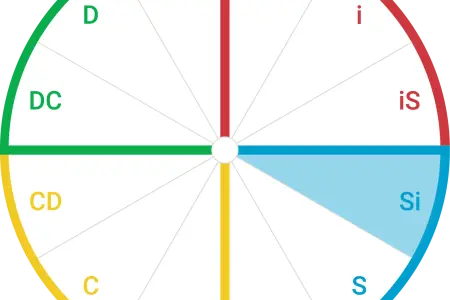 تیپ شخصیتی Si