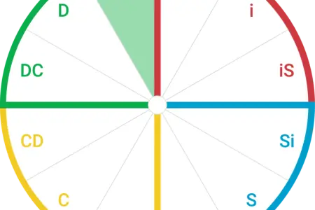 تیپ شخصتی DI