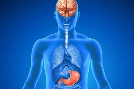 معده درد عصبی چیست؟