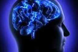 تاثیر استرس روی مغز پسران و دختران متفاوت است