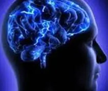 تاثیر استرس روی مغز پسران و دختران متفاوت است