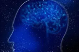 بهبود اعتماد به نفس با دستکاری مغز