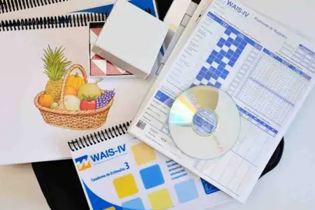 مقیاس تجدید نظر شده هوشی وکسلر