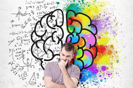 هوش هیجانی برادبری و گریوز