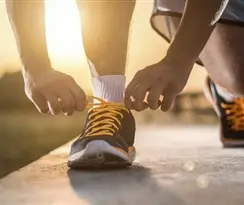 سیاهه انگیزه ها _ طبقه بندی مزلو